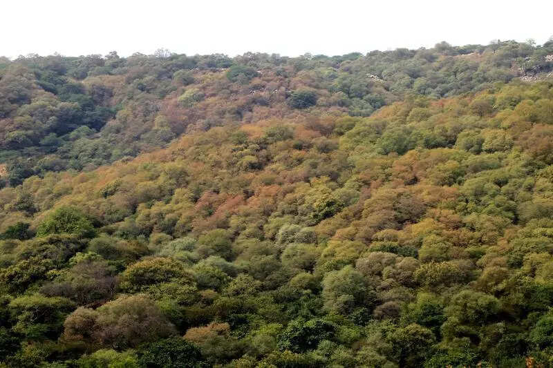 2 watchtowers to come up to intensify Aravali surveillance