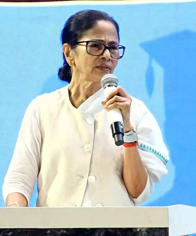 Halt SIR, CM urges EC, flags human cost of rushed exercise