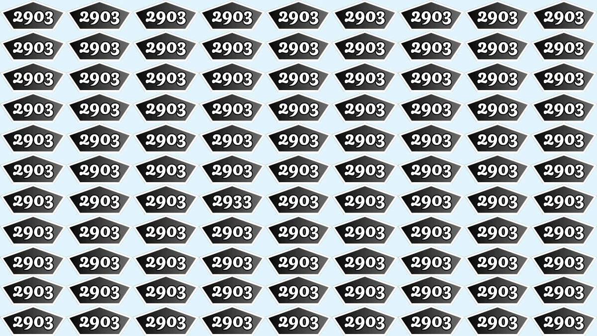 Optical illusion: Spot the number 2933 hidden among 2903 in just 9 seconds