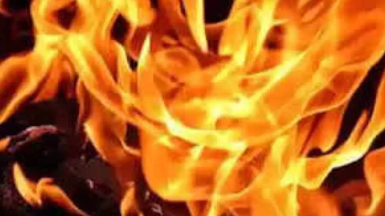 23-year-old Hyderabad student among 6 injured in US apartment fire; family seeks emergency visa