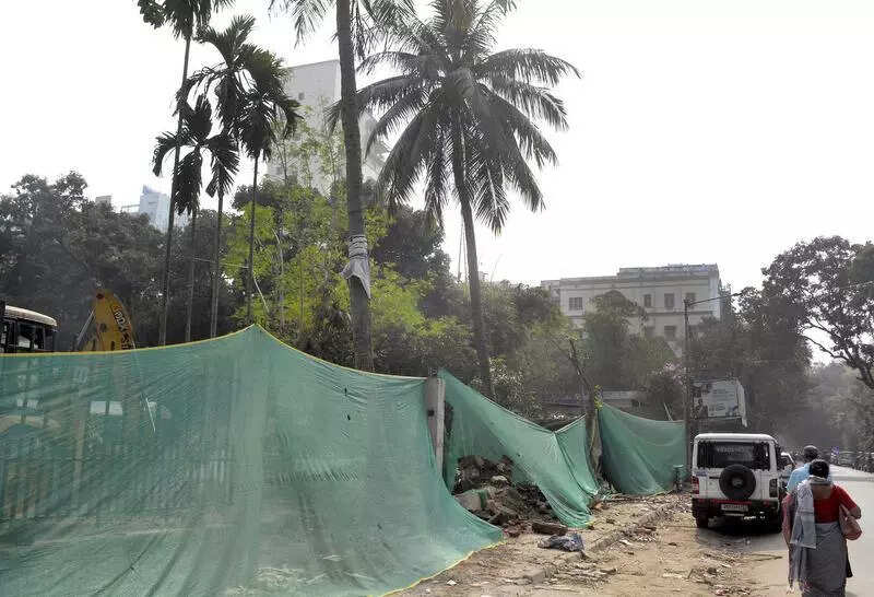 Green curtain comes up after green murder at Theatre Rd park