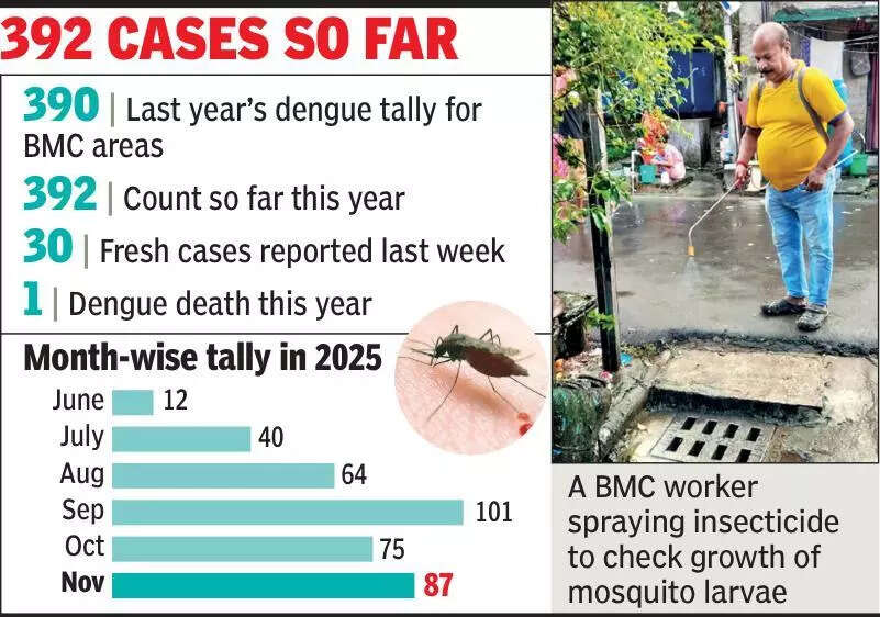 Bidhannagar Municipal Corporation area dengue tally breaches last year’s count