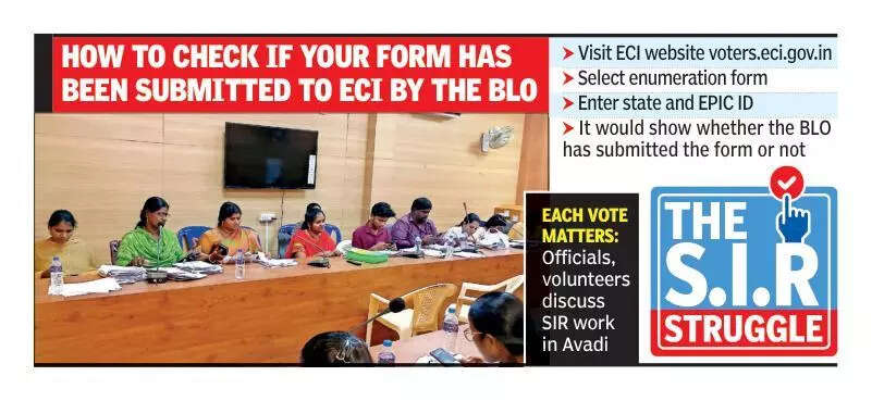 RWAs, volunteers chip in to boost SIR