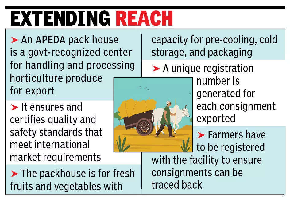 Mango farmers from Dharwad turn to Goa to export fruits to global markets