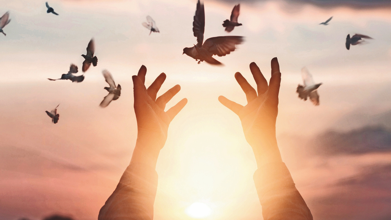 Sporting spirit: Games Nawabs played