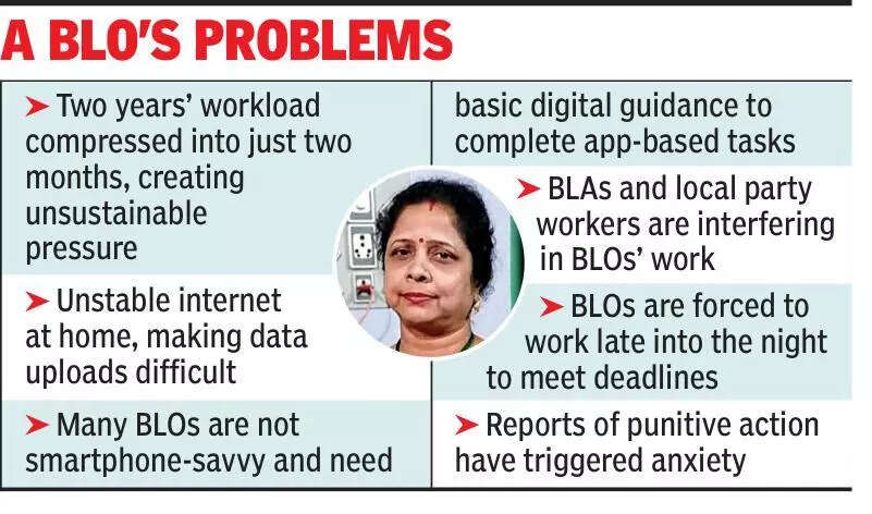 ‘Working till 3am, no rest’: After Nadia BLO’s 'suicide', colleagues say SIR workload unbearable; Kolkata march today