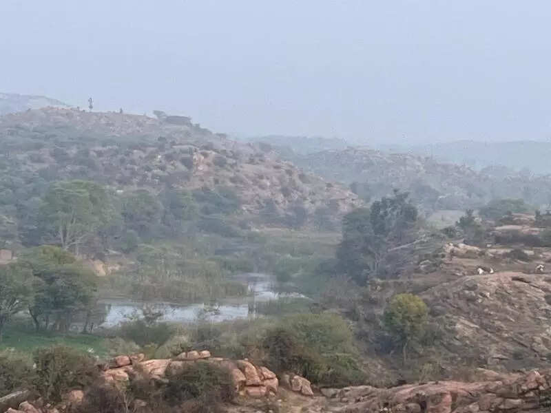 msid 125549112,imgsize 28476 https://jaipur.visitinrajasthan.com/wp-content/uploads/2023/10/cropped-cropped-R-2.png