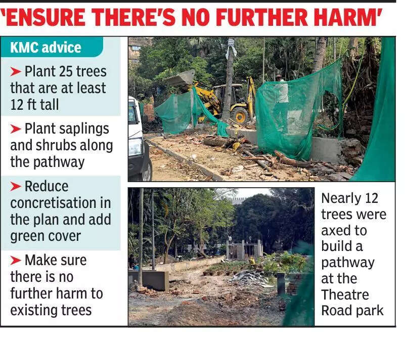 Firm to revise beautification plan to restore greenery at Theatre Rd park