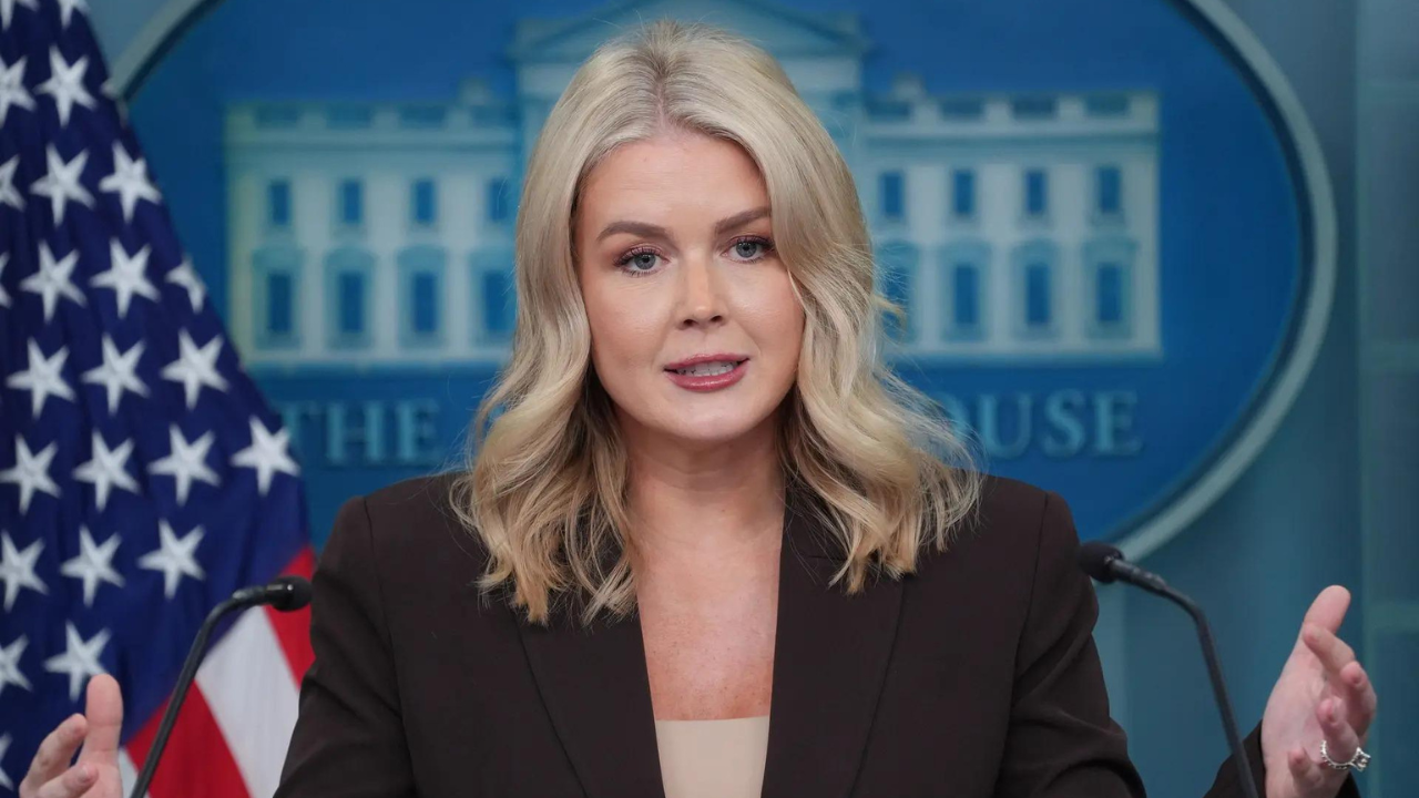 ‘Criminal illegal alien from...’: ICE agents detain woman related to White House press secretary Karoline Leavitt