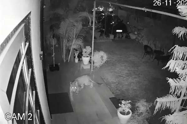 msid 125598338,imgsize 25474 https://jaipur.visitinrajasthan.com/wp-content/uploads/2023/10/cropped-cropped-R-2.png