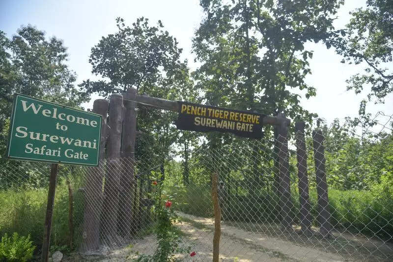 msid 125599055,imgsize 100634 https://jaipur.visitinrajasthan.com/wp-content/uploads/2023/10/cropped-cropped-R-2.png