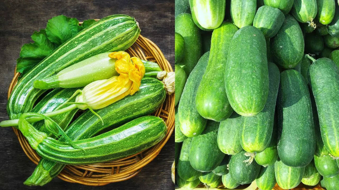 Cucumber vs. Zucchini: Key differences you should know in nutrition and taste