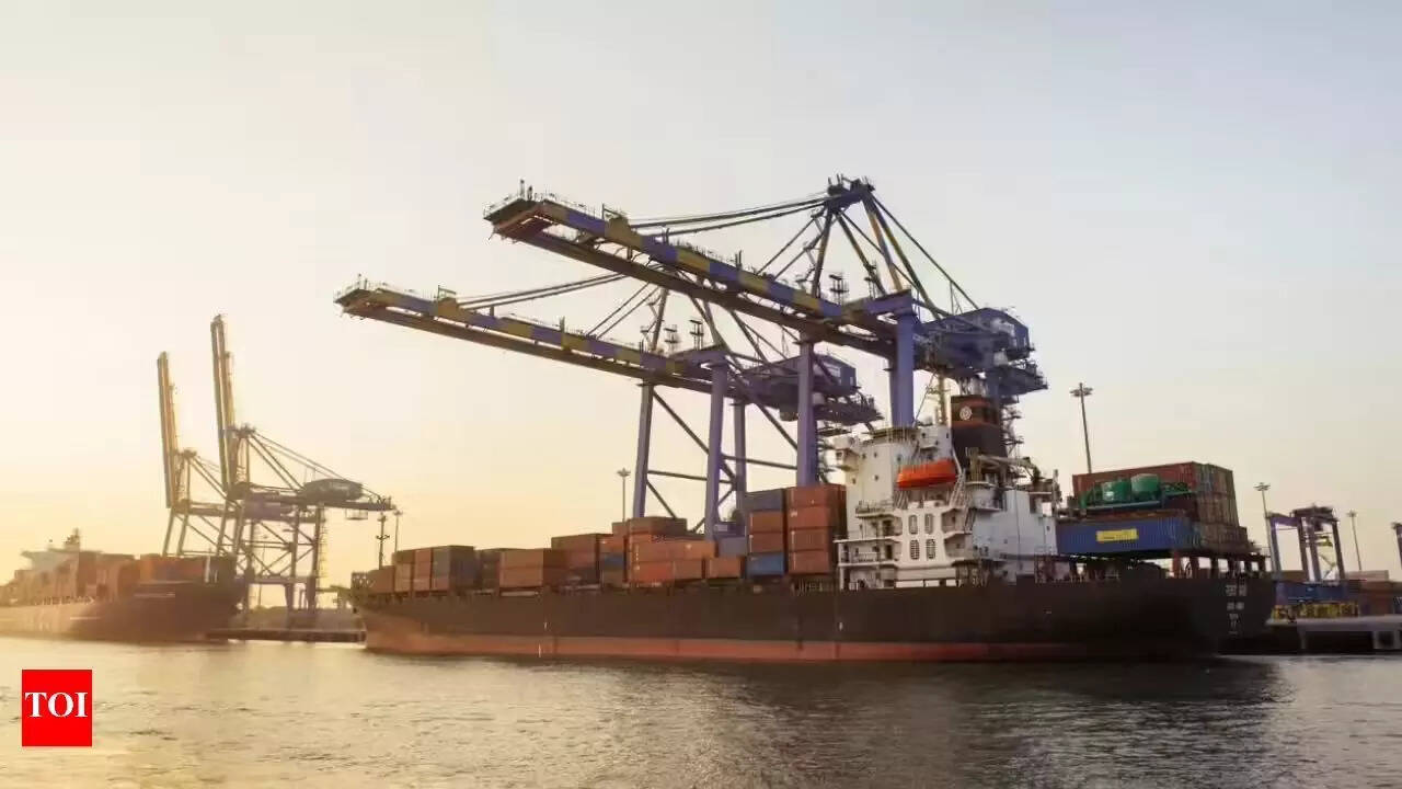 Kandla becomes fastest major port in India to reach 100 million tons in FY 26; posts strong YoY growth