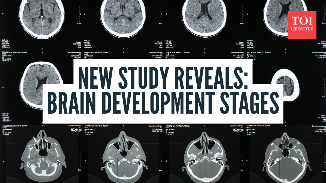 5 distinct “eras” of brain development and major one happens at this age