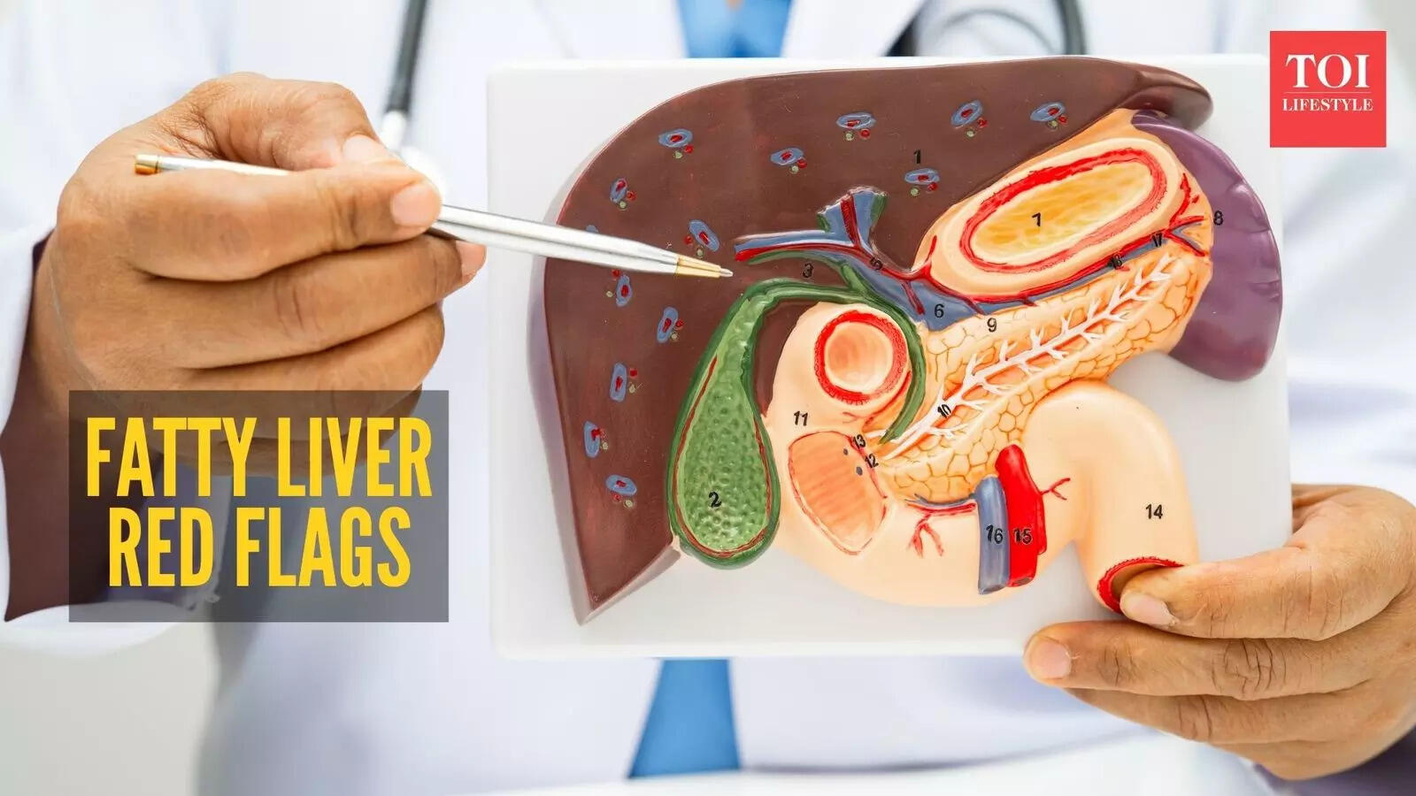 Harvard-trained doctor lists warning signs of fatty liver that one should never miss