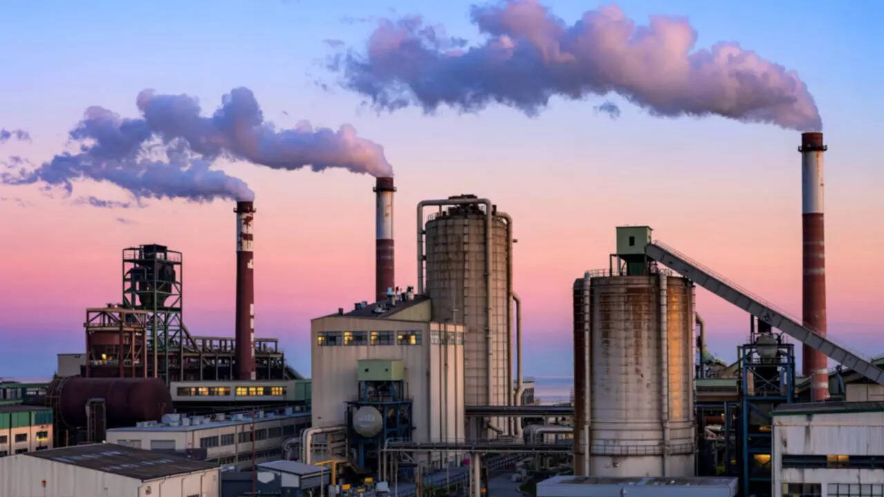 Your gut health may be under attack from pesticides and pollutants in food, water and home products