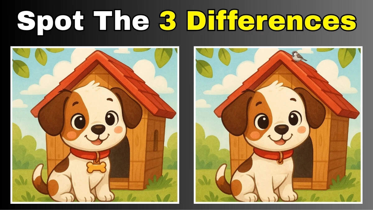 Optical illusion: Can you spot 3 differences in this dog image under 12 seconds?