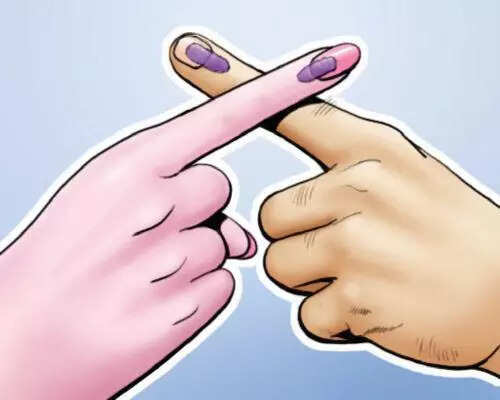 Draft electoral rolls published for Karnataka legislative council elections