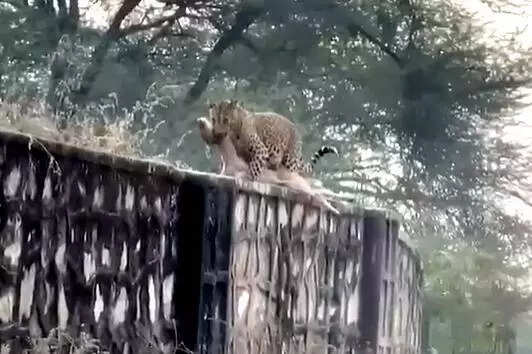 msid 125645712,imgsize 30130 https://jaipur.visitinrajasthan.com/wp-content/uploads/2023/10/cropped-cropped-R-2.png