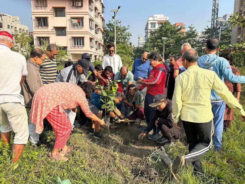 New Town locals plant 1k saplings for 4th yr in a row