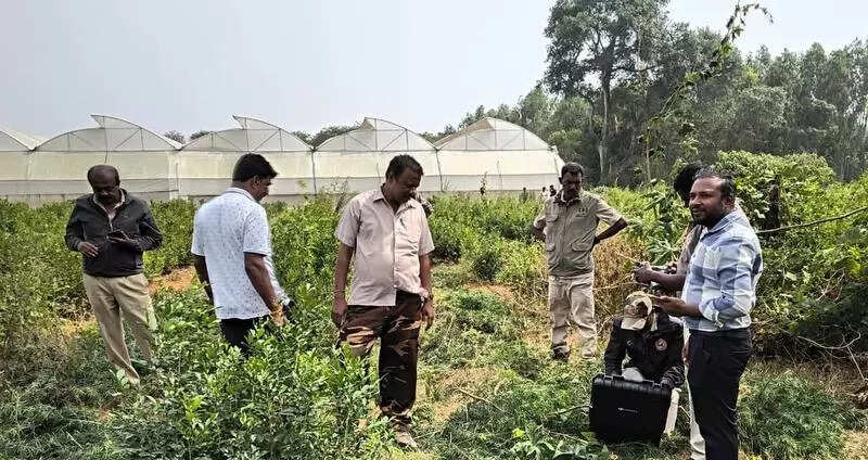 After keeping 25 forest personnel in Bengaluru on their toes, gaur escapes to Hosur
