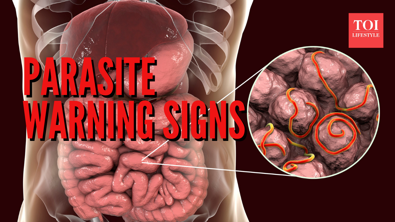 Doctor reveals 5 warning signs you may have parasites in your body