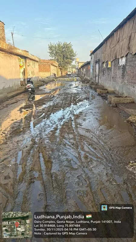 Milk to muck: Sanitation crisis hits dairy hub