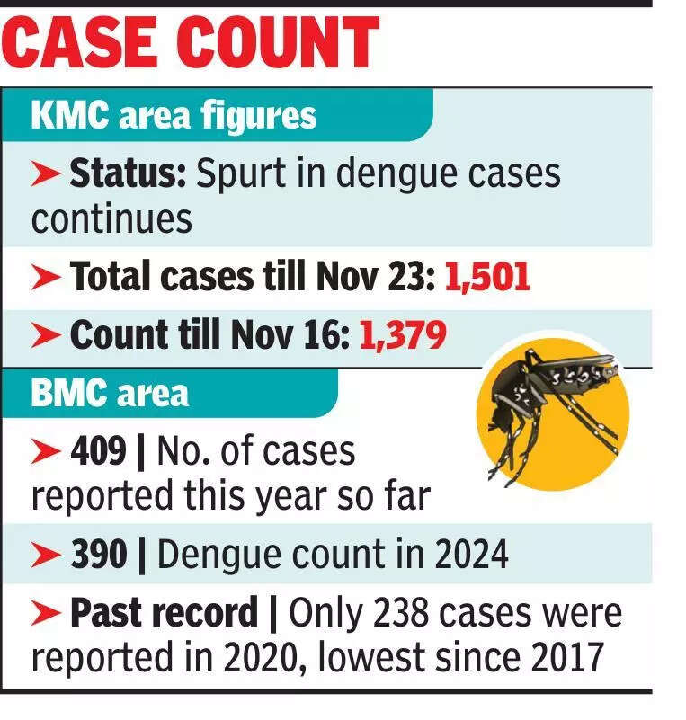 Dengue cases spike in Kol, dip in BMC areas