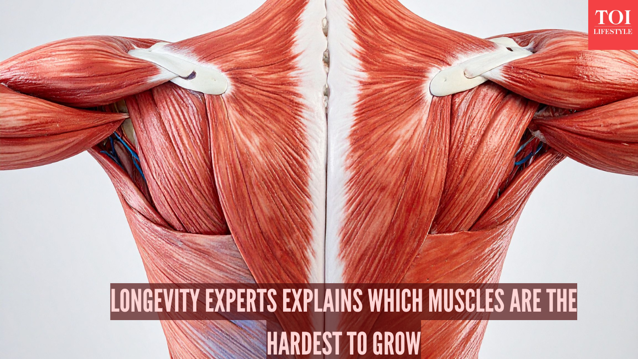 Which are the toughest muscles to grow and why? Longevity expert explains
