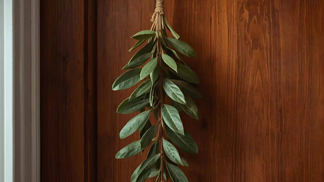 Hang THIS simple kitchen herb on your door and watch your nighttime stress disappear