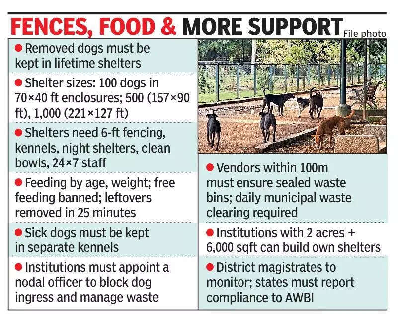 Care mandate kicks in: Lifetime shelter, food, vax for captured stray dogs