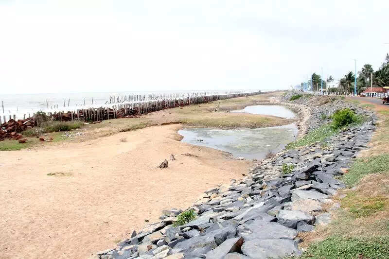 Bengal issues global tender for Tajpur deep sea port development