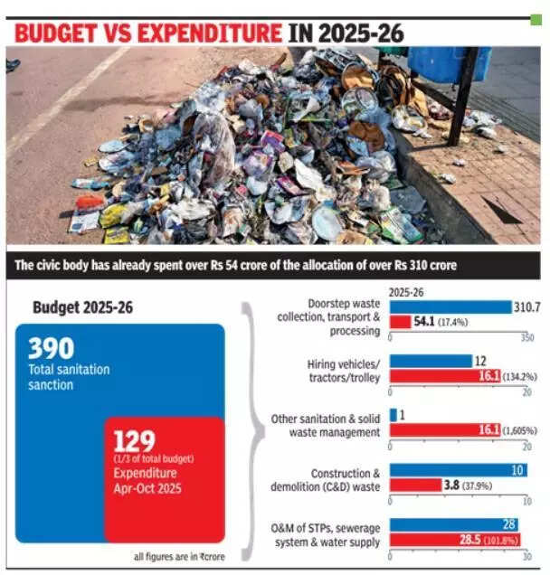 One-third of safai budget spent, yet Gurgaon streets remain choked with garbage