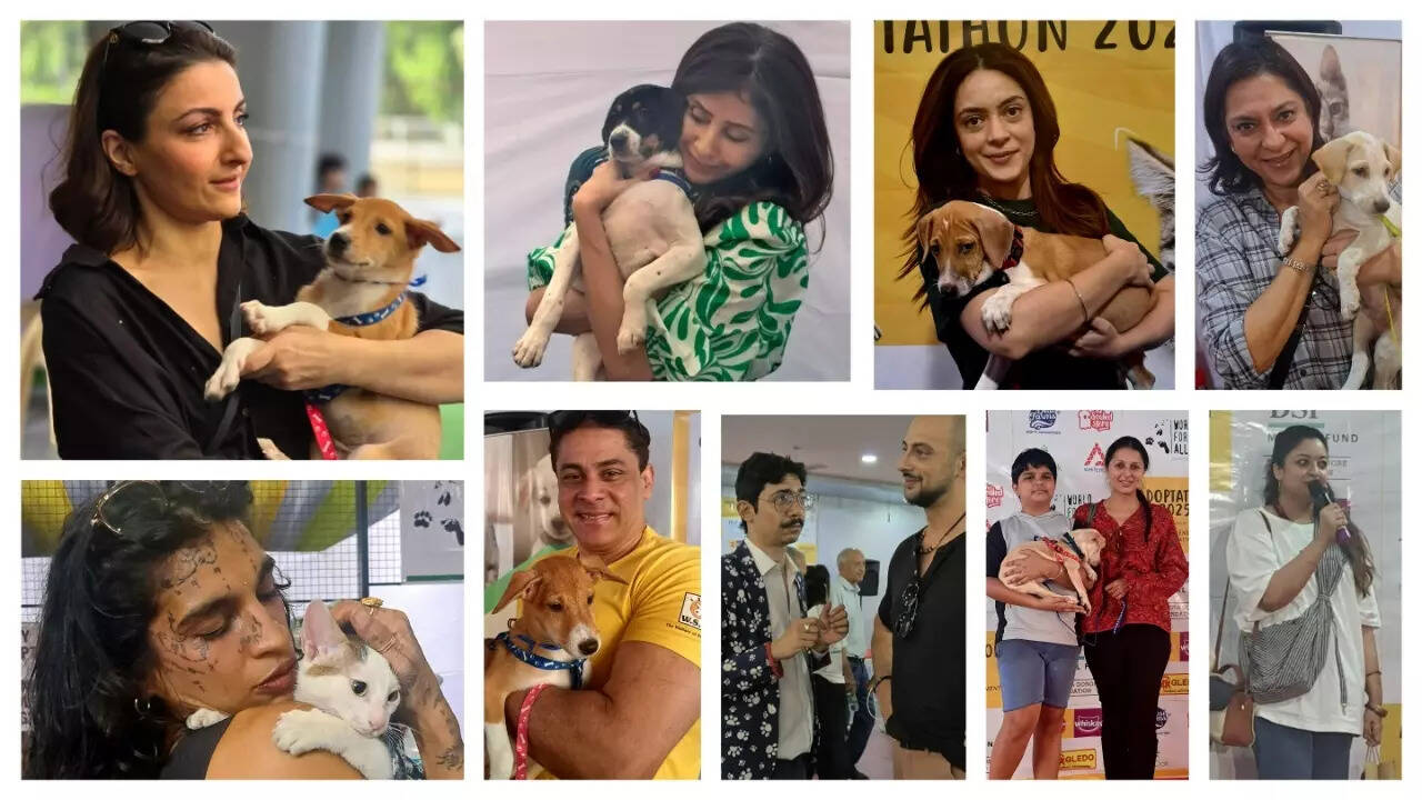 Celebs lend support to Adoptathon 2025