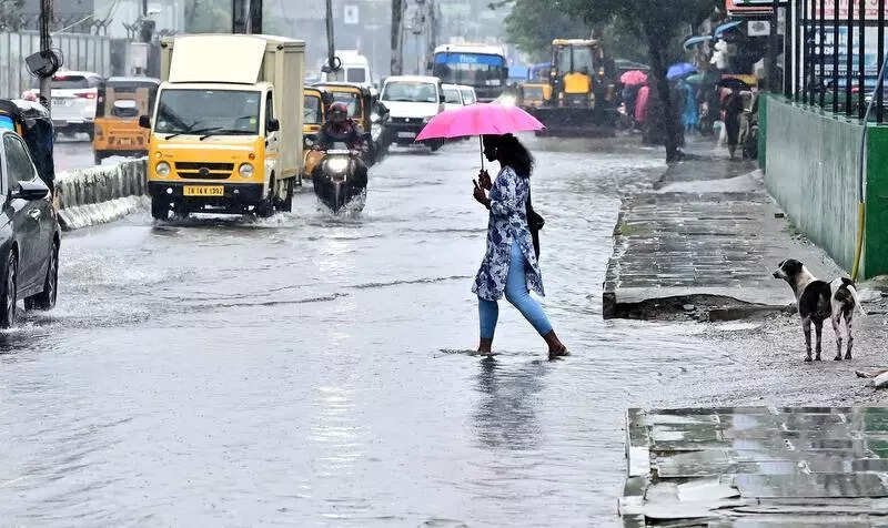 Arterial roads of south Chennai largely clear of inundation; interior roads on OMR face waterlogging