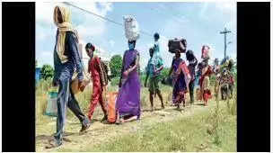 Labour department freezes migrant worker survey