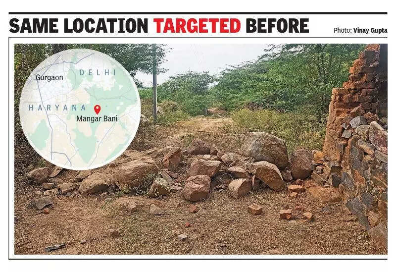 Renewed attempts to encroach Mangar Aravali plantation thwarted, foresters step up patrols