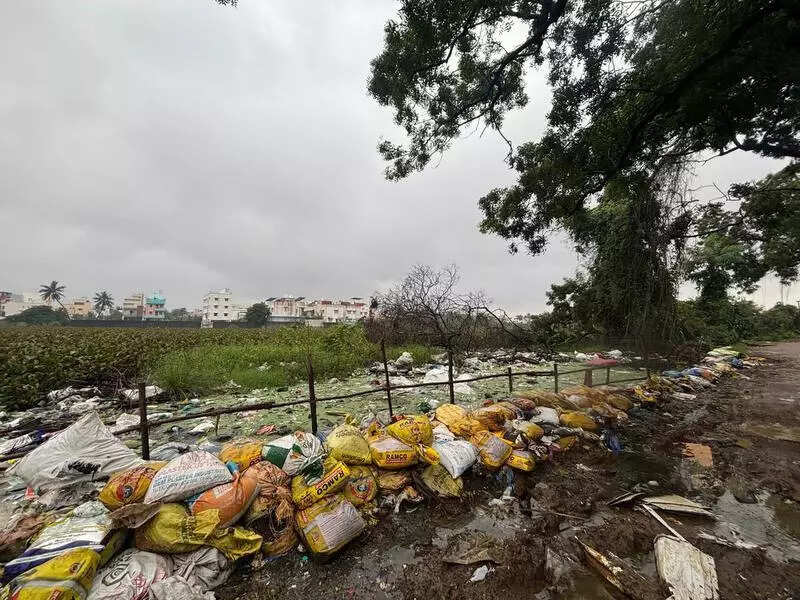 Sitheri lake chokes on toxic waste