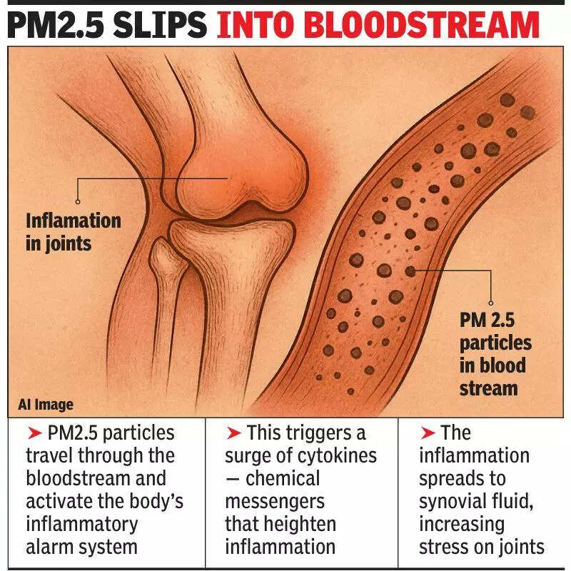 PM2.5 triggering joint pain even in those never diagnosed with arthritis, say docs