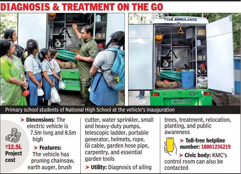 Need a surgery for neighbourhood giant? KMC’s tree ambulance is just a call away