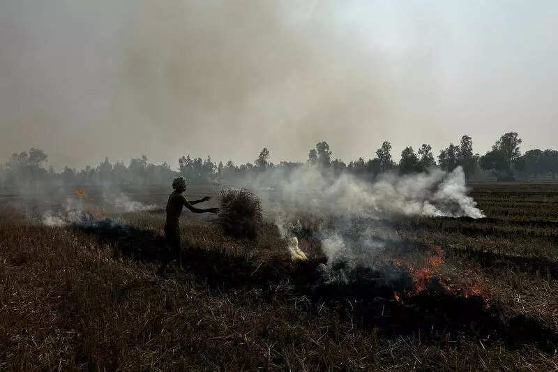 Stubble burning cases jump by 18% in UP this year
