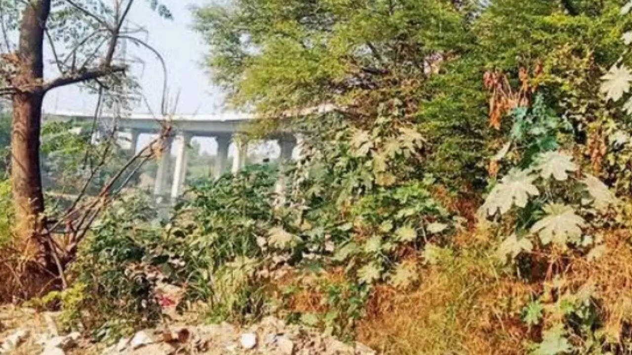 Delhi: Cabbie stabbed to death for refusing ride to India Gate for birthday celebration