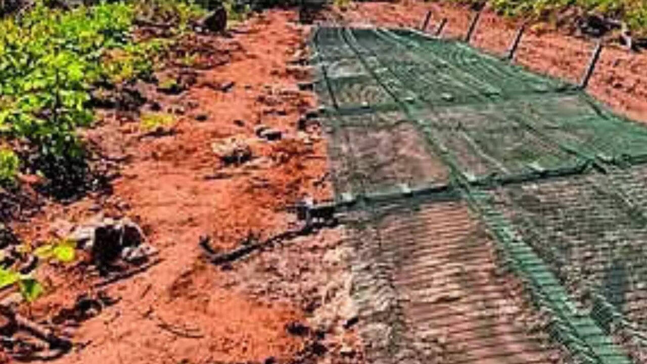 150m of Myanmar border fence cut in Manipur; 2nd time in 4 months, security tightened