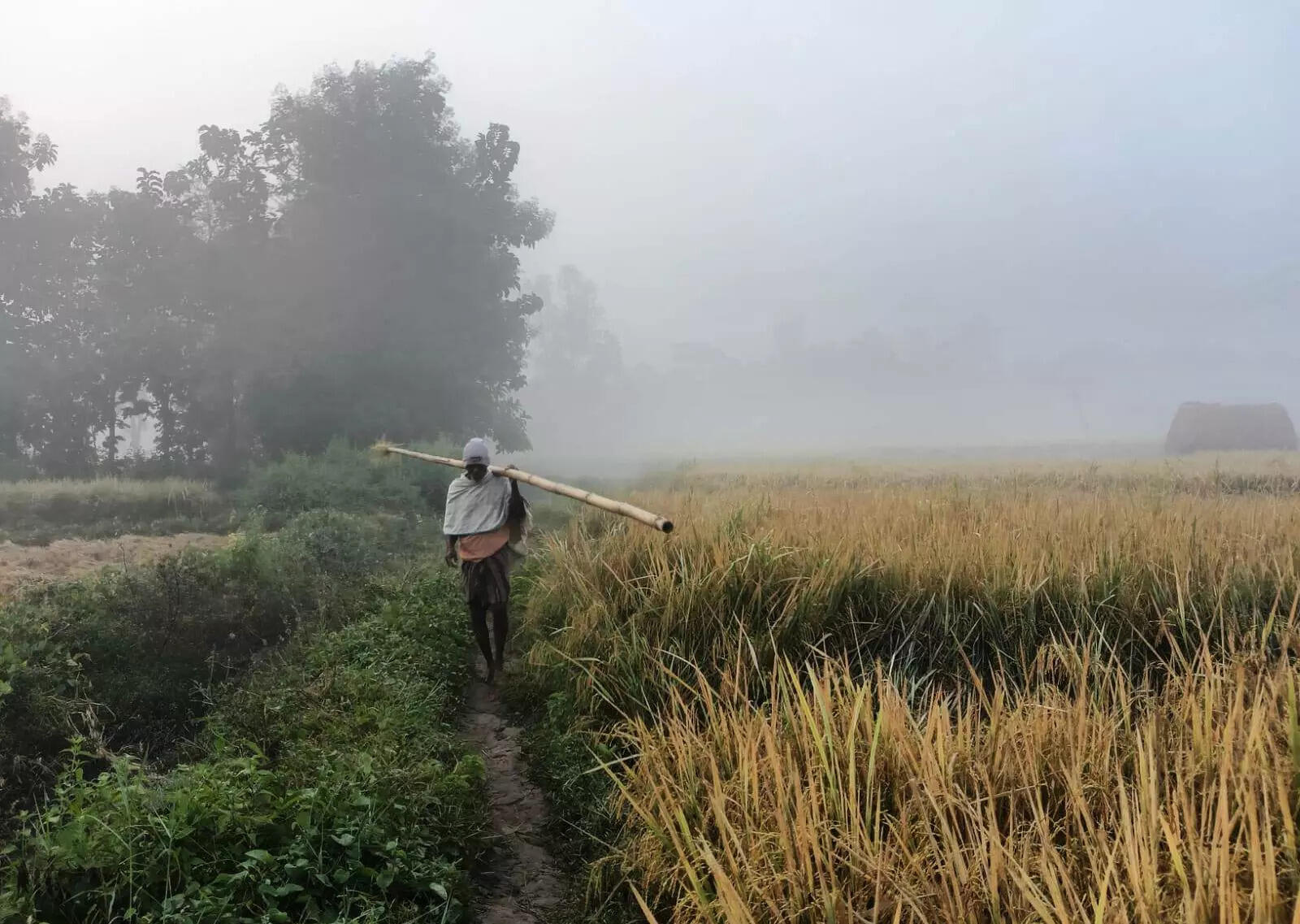 Severe cold grips districts, G Udayagiri shivers at 4.4ºC