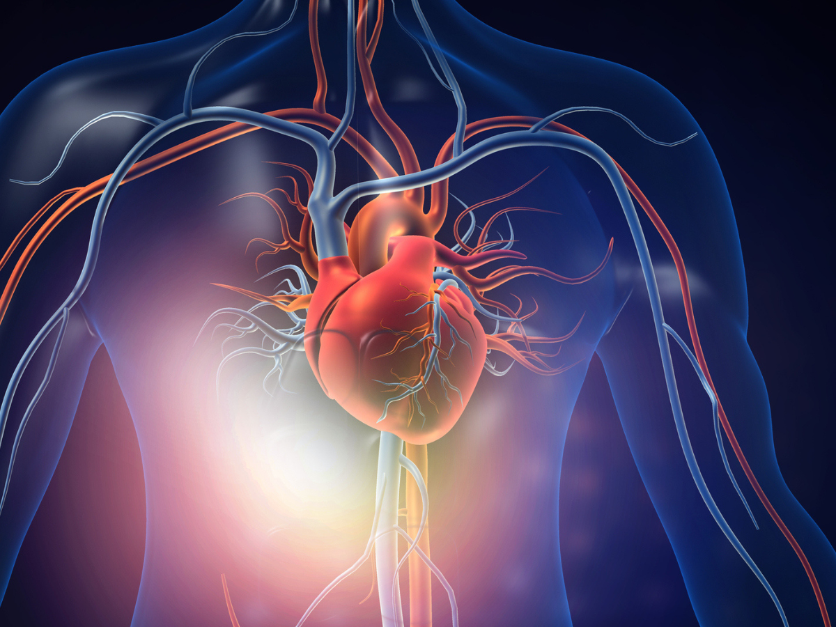 Heart health: Why women’s heart attacks are harder to spot, explains cardiologist