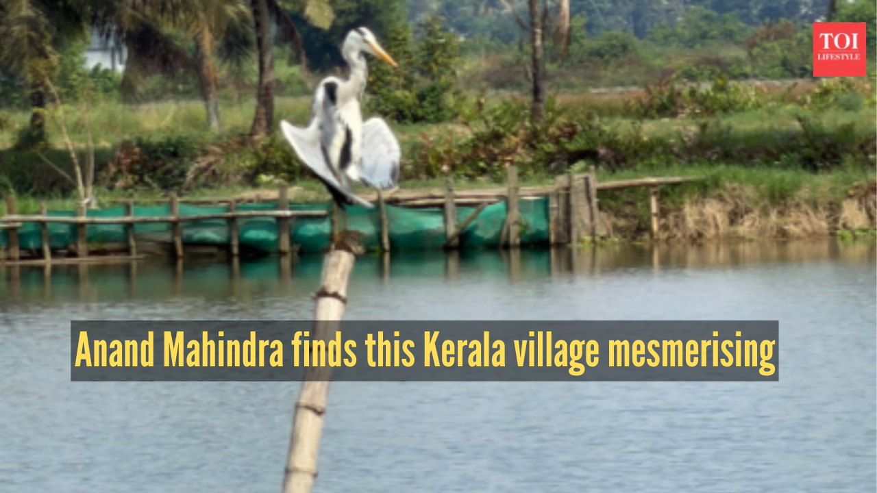 Anand Mahindra keeps his promise, visits the 'most beautiful' village in Kerala, and calls it’s ‘mesmerising’