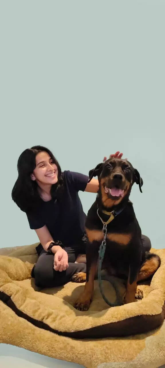 Home again: Abandoned dogs find new leash of life