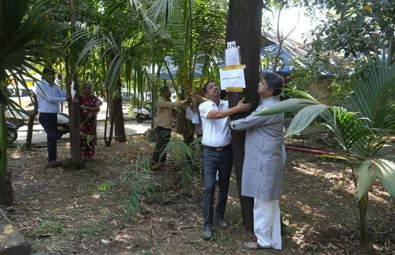 Green activists allege illegal tree cutting at Thane mental hosp campus, demand probe
