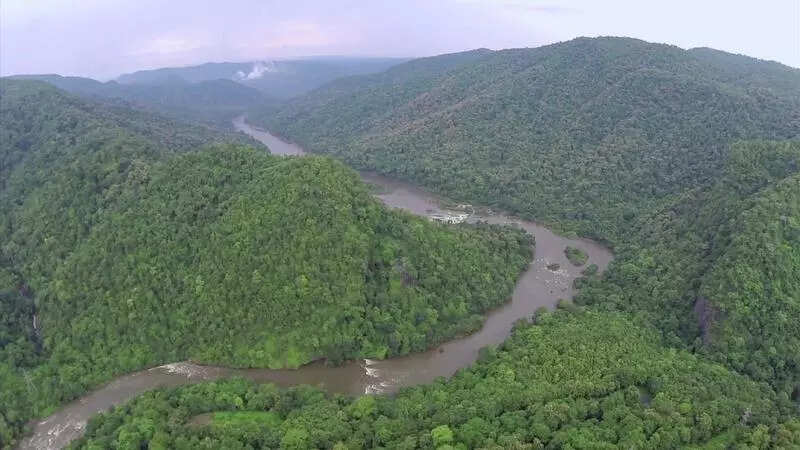 Karnataka fast-tracks Goa–Tamnarpower line through Western Ghats