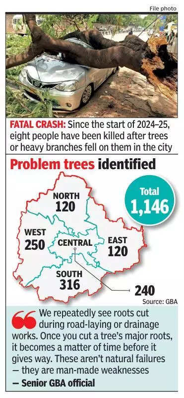 msid 125843292,imgsize 57614